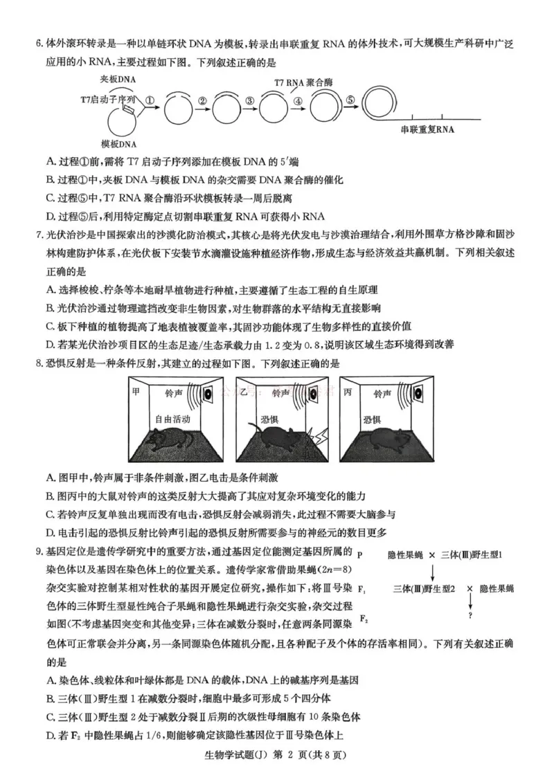《湖南省九校联盟2026届高三第二次联考（暨怀化市一模）生物_2026届湖南省九校联盟高三第二次联考（暨怀化市一模）_06生物2026届湖南省九校联盟高三第二次联考（暨怀化市一模）》第2页预览