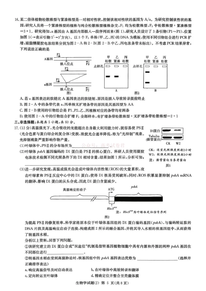 《湖南省九校联盟2026届高三第二次联考（暨怀化市一模）生物_2026届湖南省九校联盟高三第二次联考（暨怀化市一模）_06生物2026届湖南省九校联盟高三第二次联考（暨怀化市一模）》第5页预览