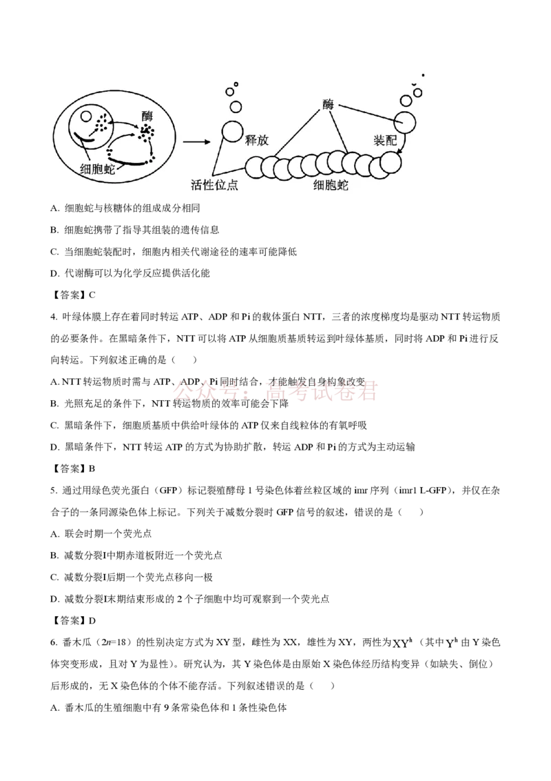 《生物-河北省百师联盟2026届高三下学期3月第一次质量检测_副本_2026届河北省百师联盟高三下学期3月第一次质量检测全科_06生物_河北省百师联盟高三下学期3月第一次质量检测》第2页预览