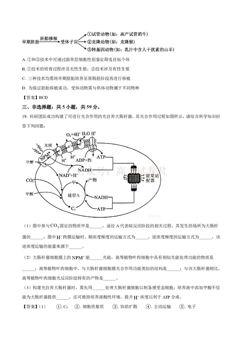 《生物-河北省百师联盟2026届高三下学期3月第一次质量检测_副本_2026届河北省百师联盟高三下学期3月第一次质量检测全科_06生物_河北省百师联盟高三下学期3月第一次质量检测》第7页预览
