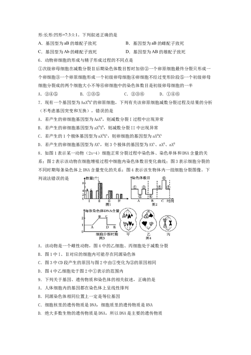 《2025-2026学年第二学期高一期中生物考试试题_2024-2027高一（7-7月题库）(1)_2026年04月高一试卷_260426山东省济南一中2025-2026学年高一下学期期中（全科）》第2页预览