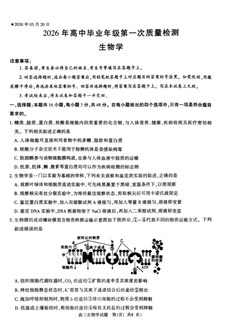 《生物试卷-2026年河南部分高三第一次质量检测_副本_2026届河南省五市高中毕业年级第一次质量检测全科_06生物_河南省五市高中毕业年级第一次质量检测》第1页预览