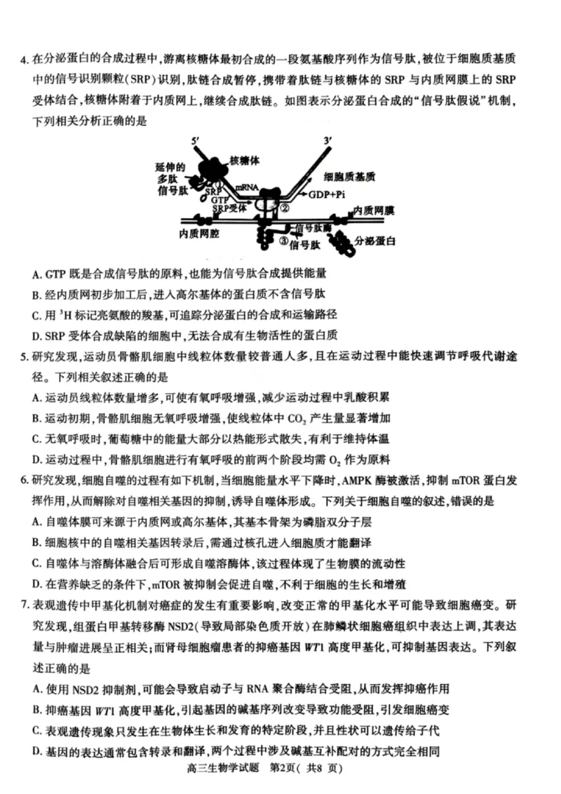 《生物试卷-2026年河南部分高三第一次质量检测_副本_2026届河南省五市高中毕业年级第一次质量检测全科_06生物_河南省五市高中毕业年级第一次质量检测》第2页预览
