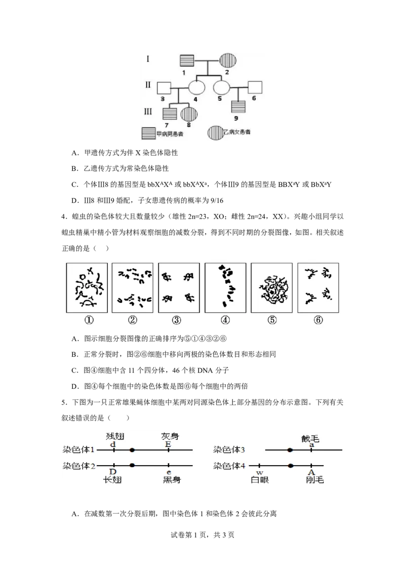 《2025-2026学年下学期高一6月月考生物试题_2024-2027高一（7-7月题库）(1)_2026年06月高一试卷_260625河南省平顶山市叶县高级中学2025-2026学年高一下学期6月月考》第2页预览