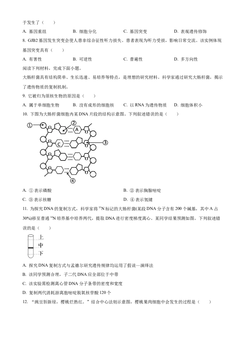 《2025学年第二学期浙江新力量联盟期中联考高一年级生物学科试题Word版无答案_2024-2027高一（7-7月题库）(1)_2026年05月高一试卷》第2页预览