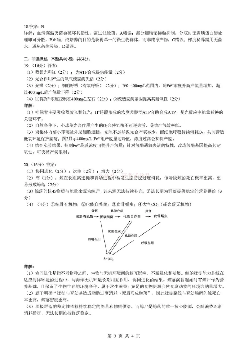 《湖北省随州市2026届高三下学期二模考试生物答案_2026届湖北省随州市高三下学期二模考试_06生物2026届湖北省随州市高三下学期二模考试》第3页预览