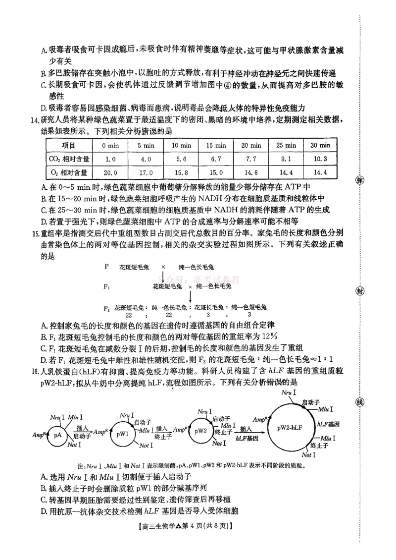 《金太阳2026届高三联考313C生物试题_2026届河北省金太阳313C高三3月联考_06生物2026届河北省金太阳313C高三3月联考》第4页预览
