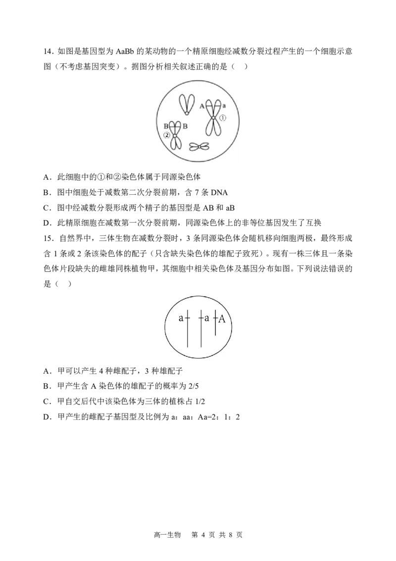 《2025-2026学年度下学期高一学年期中考试生物_2024-2027高一（7-7月题库）(1)_2026年05月高一试卷_260511黑龙江省哈尔滨市第三中学2025-2026学年度下学期高一学年期中考试（全科）》第4页预览