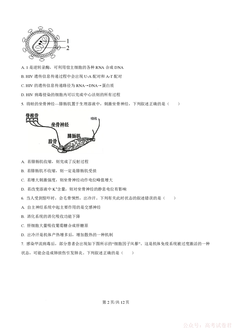 《精品解析：黑龙江省实验中学2026届下学期高三联合模拟考试生物试题（原卷版）_2026届黑龙江省实验中学高三3月联合模拟考试_黑龙江省实验中学2026届高三学年3月联合模拟考试生物》第2页预览
