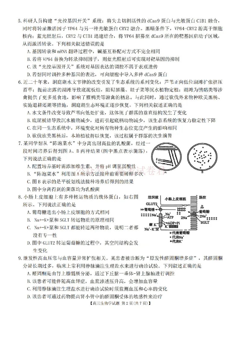 《生物试题卷湖南天壹名校联盟2026届高三年级3月质量检测(3.30-3.31)_2026届湖南省天壹名校联盟高三下学期3月质检_06生物_湖南省天壹名校联盟高三下学期3月质检》第2页预览
