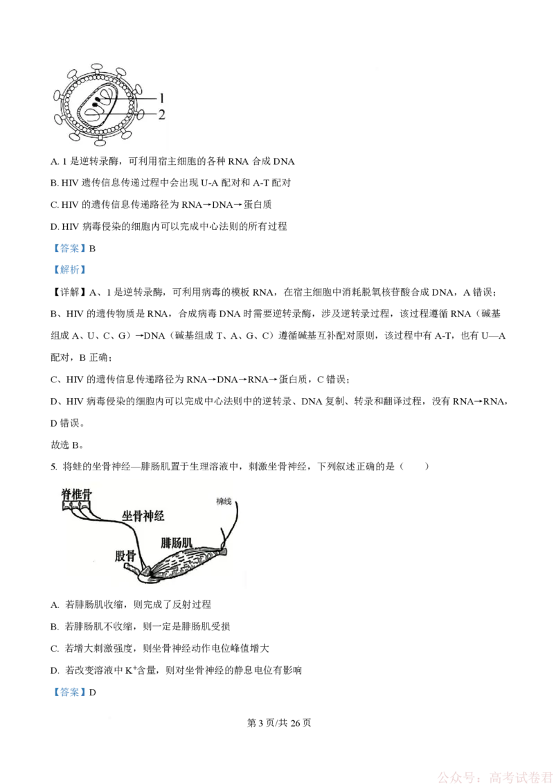 《精品解析：黑龙江省实验中学2026届下学期高三联合模拟考试生物试题（解析版）_2026届黑龙江省实验中学高三3月联合模拟考试_黑龙江省实验中学2026届高三学年3月联合模拟考试生物》第3页预览