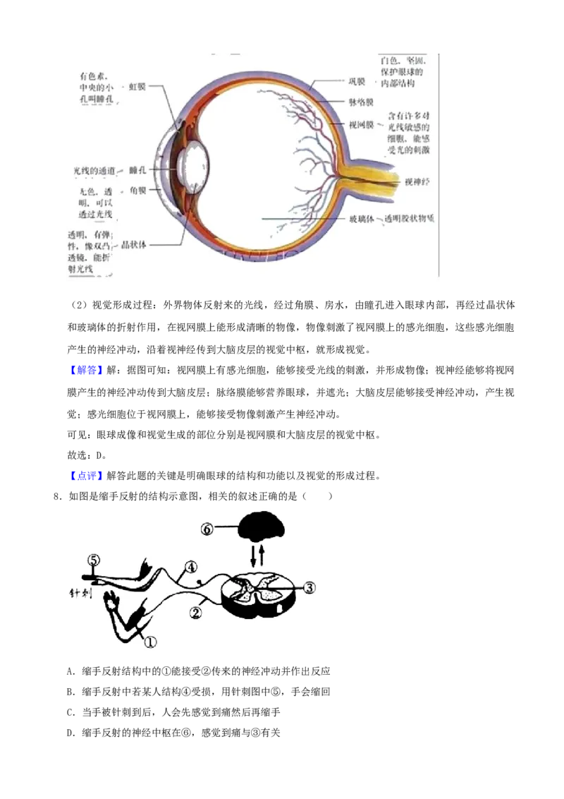 《2021年辽宁省营口市中考生物试题（解析）_12.2026年4月全国各地高考模拟卷_2026版初中金考卷•45套中考试卷汇编系列合集_全国版中考真题(1)_辽宁各地中考_辽宁生物（24）_营口生物15-22》第5页预览