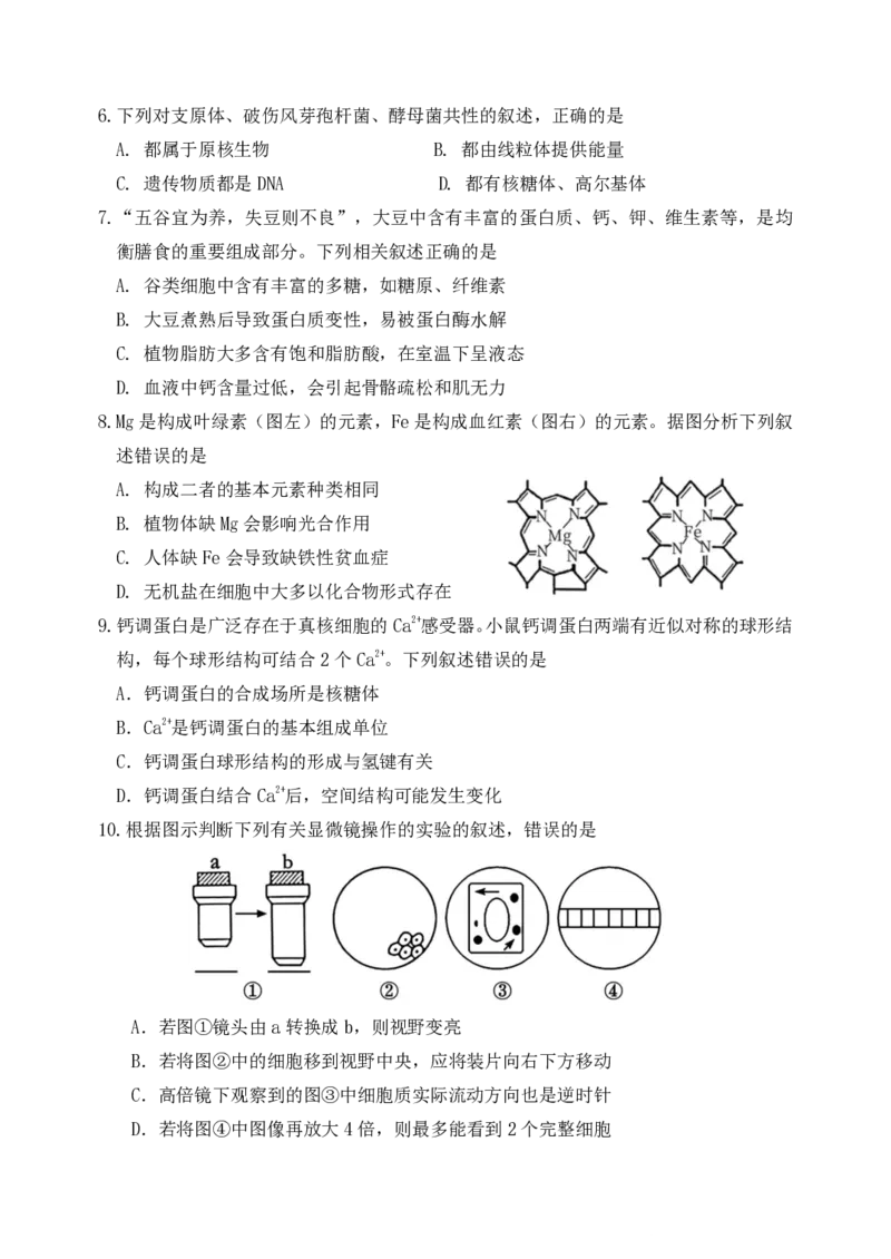 《2025.10东北育才高一上生物月考试卷+答案_2024-2027高一（7-7月题库）(1)_2025年10月高一试卷_251019辽宁省沈阳市东北育才高中2025--2026学年度上学期高一第一次月考》第2页预览