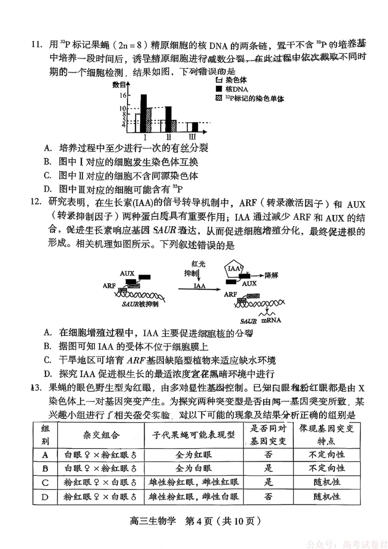 《福建省龙岩市2026年高中毕业班三月教学质量检测生物试题+答案_2026届福建省龙岩市高三三月教学质量检测》第4页预览