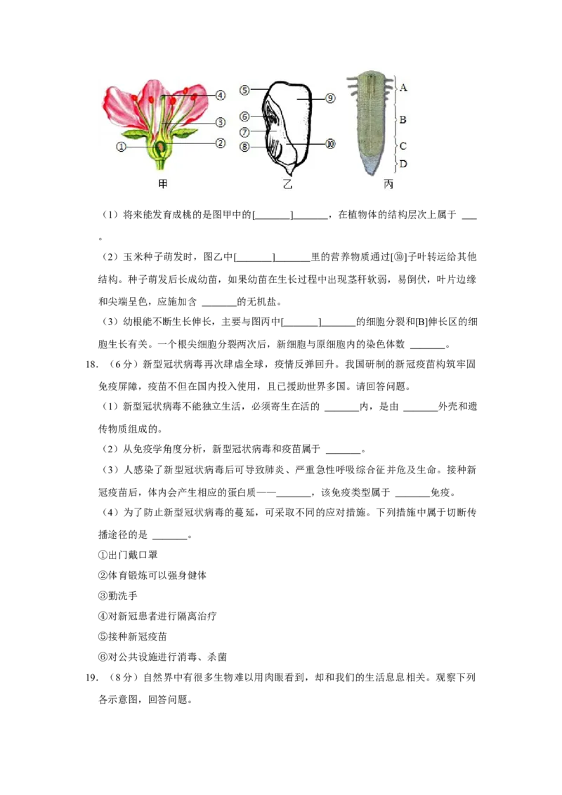 《2021年辽宁省锦州市中考生物试题（空白卷）_12.2026年4月全国各地高考模拟卷_2026版初中金考卷•45套中考试卷汇编系列合集_全国版中考真题(1)_辽宁各地中考_辽宁生物（24）》第4页预览