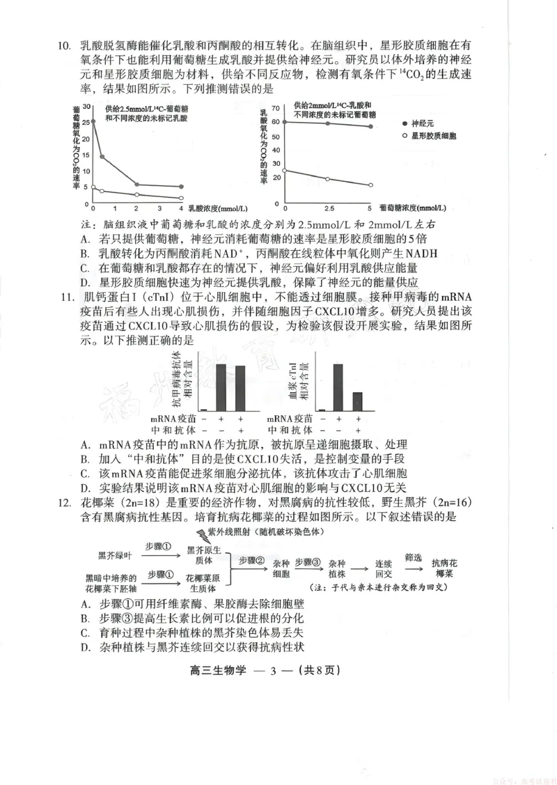 《生物试题：2025-2026学年福州市高三年级三月质量检测_2026届福建省福州市高三三月质量检测_2026届福建省福州市高三三月质量检测生物》第3页预览
