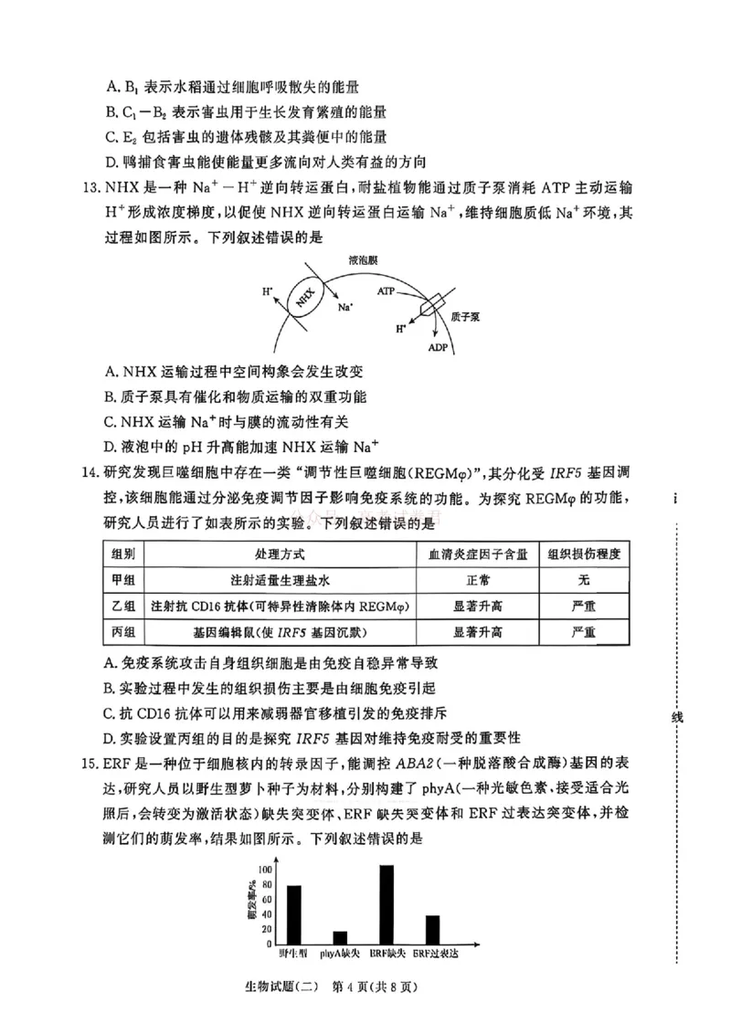 《青桐鸣大联考2026届高三下学期学情调研（二）生物_2026届河南省青桐鸣大联考高三下学期学情调研（二）_06生物2026届河南省青桐鸣大联考高三下学期学情调研（二）》第4页预览