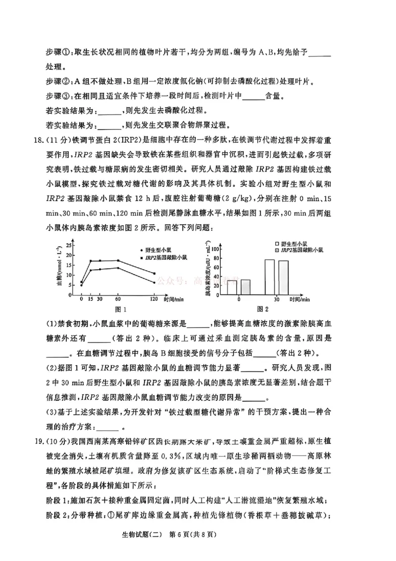 《青桐鸣大联考2026届高三下学期学情调研（二）生物_2026届河南省青桐鸣大联考高三下学期学情调研（二）_06生物2026届河南省青桐鸣大联考高三下学期学情调研（二）》第6页预览