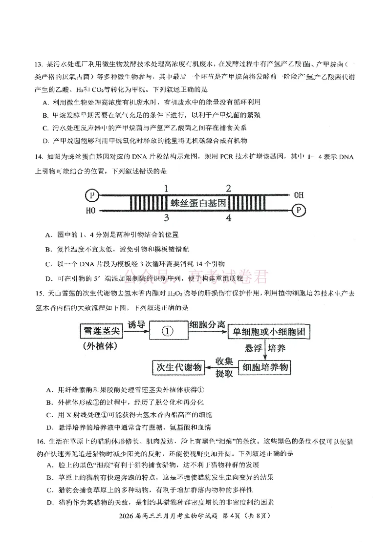 《湖北省2026届高三十一校第二次联考生物_副本_2026届湖北省十一校高三第二次联考全科_06生物_湖北省十一校高三第二次联考》第4页预览