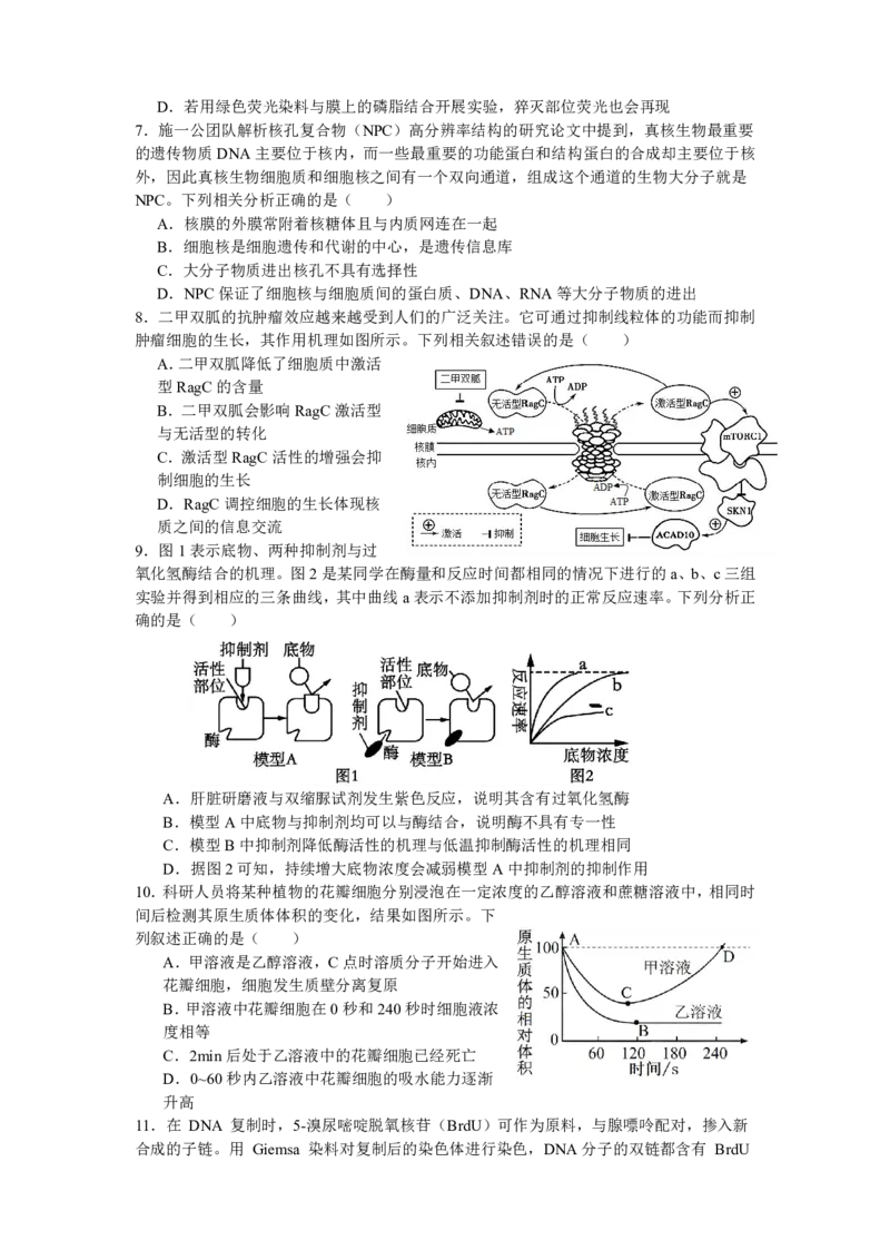 《余姚中学2024学年第二学期质量检测高一生物学科试卷_2024-2027高一（7-7月题库）(1)_2025年03月试卷_0320浙江省余姚中学2024-2025学年高一下学期3月月考试题》第2页预览