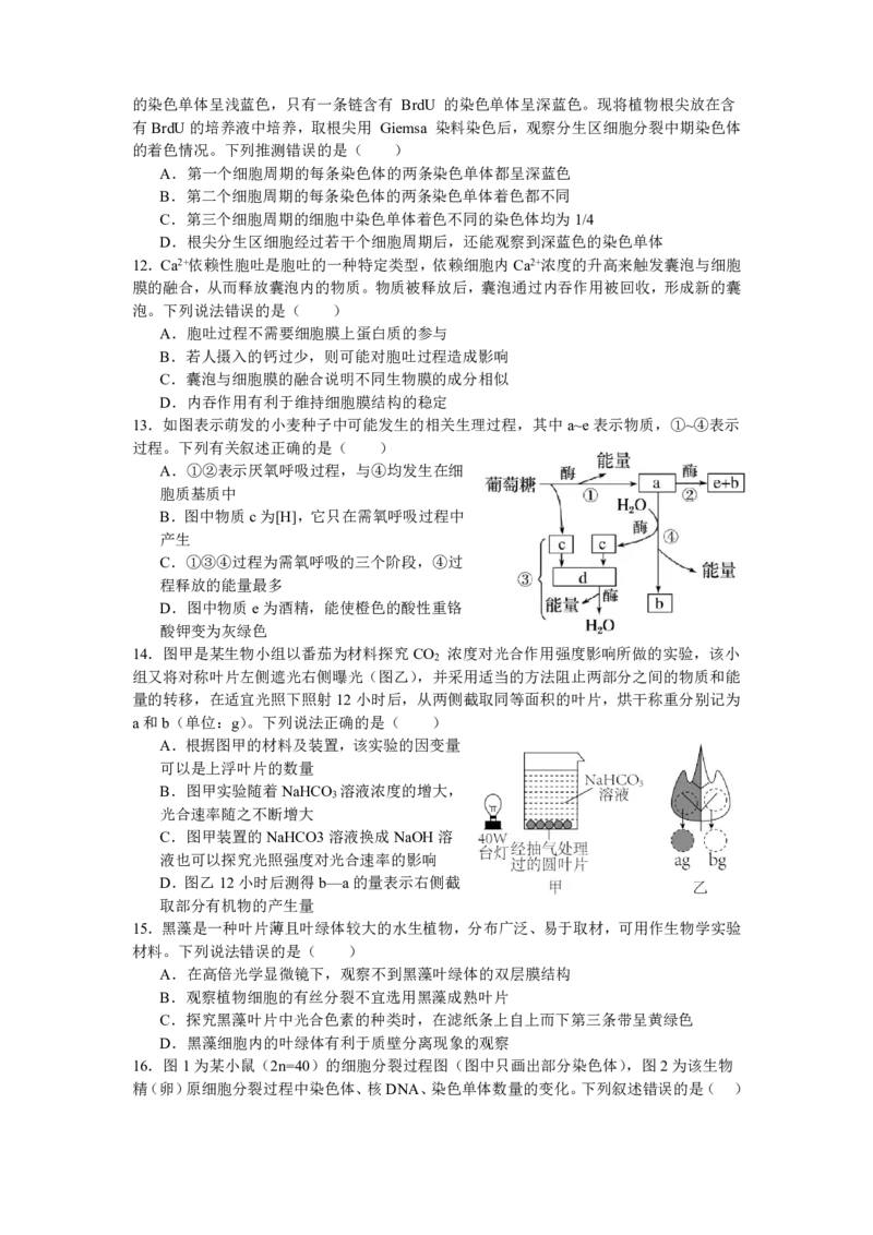 《余姚中学2024学年第二学期质量检测高一生物学科试卷_2024-2027高一（7-7月题库）(1)_2025年03月试卷_0320浙江省余姚中学2024-2025学年高一下学期3月月考试题》第3页预览