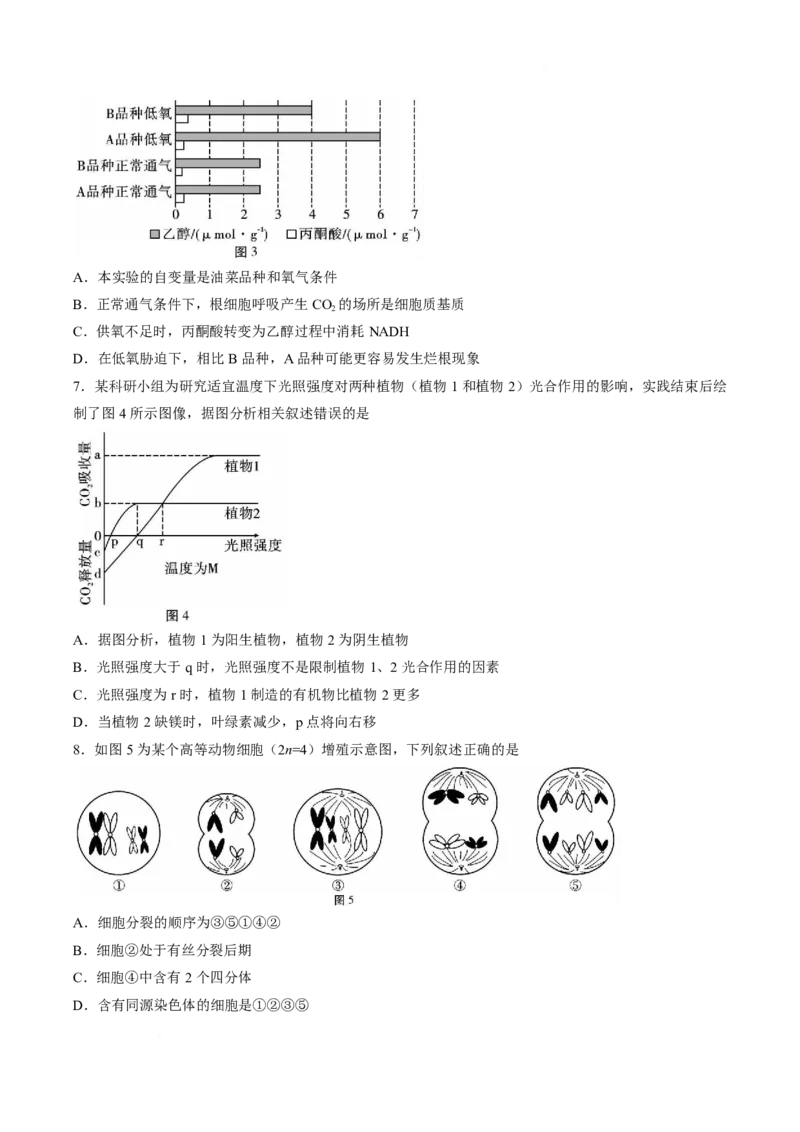 《云南省昭通一中教研联盟2025-2026学年高一下学期期中考试（B卷）生物试卷（含答案）_2024-2027高一（7-7月题库）(1)_2026年05月高一试卷》第3页预览