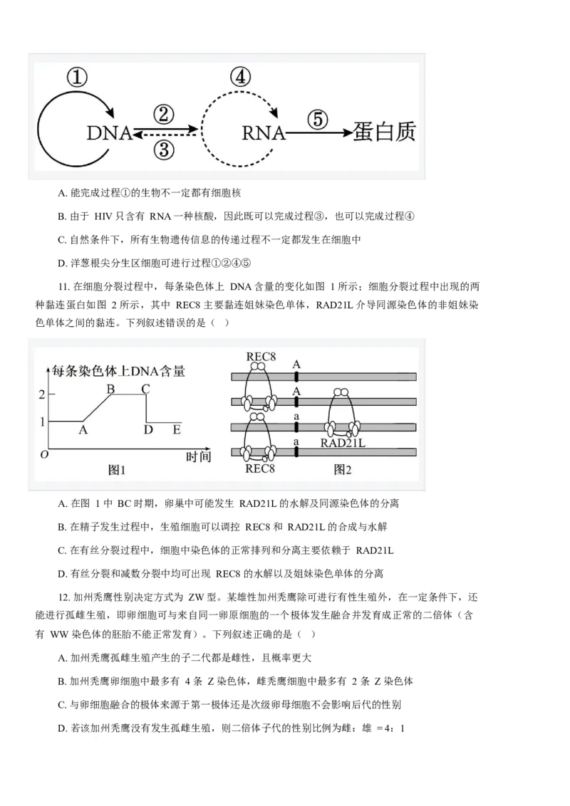 《厦门外国语学校2025-2026学年高一下学期5月期中生物试卷（含答案）_2024-2027高一（7-7月题库）(1)_2026年06月高一试卷_260608福建省厦门外国语学校2025-2026学年高一下学期5月期中》第4页预览