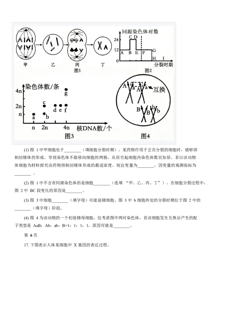 《厦门外国语学校2025-2026学年高一下学期5月期中生物试卷（含答案）_2024-2027高一（7-7月题库）(1)_2026年06月高一试卷_260608福建省厦门外国语学校2025-2026学年高一下学期5月期中》第6页预览