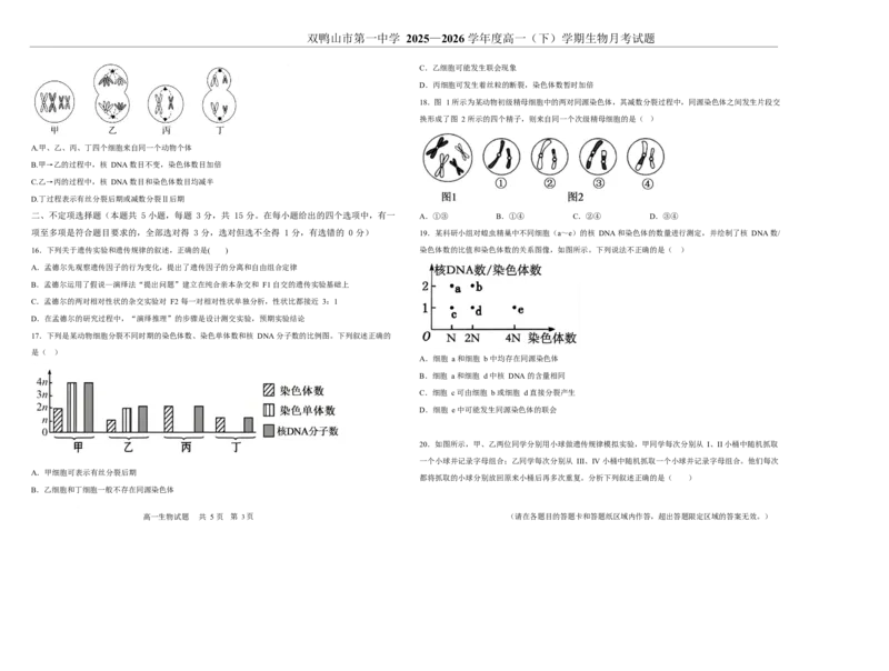 《双鸭山市第一中学2025-2026学年高一下学期4月月考生物试卷_2024-2027高一(7-7月题库)(1)_2026年06月高一试卷_260603黑龙江省双鸭山市第一中学2025-2026学年高一下学期4月月考试题(全)》第3页预览