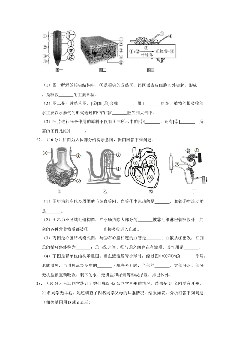《2018年辽宁省鞍山市中考生物试题（空白卷）_12.2026年4月全国各地高考模拟卷_2026版初中金考卷•45套中考试卷汇编系列合集_全国版中考真题(1)_辽宁各地中考_辽宁生物（24）》第4页预览