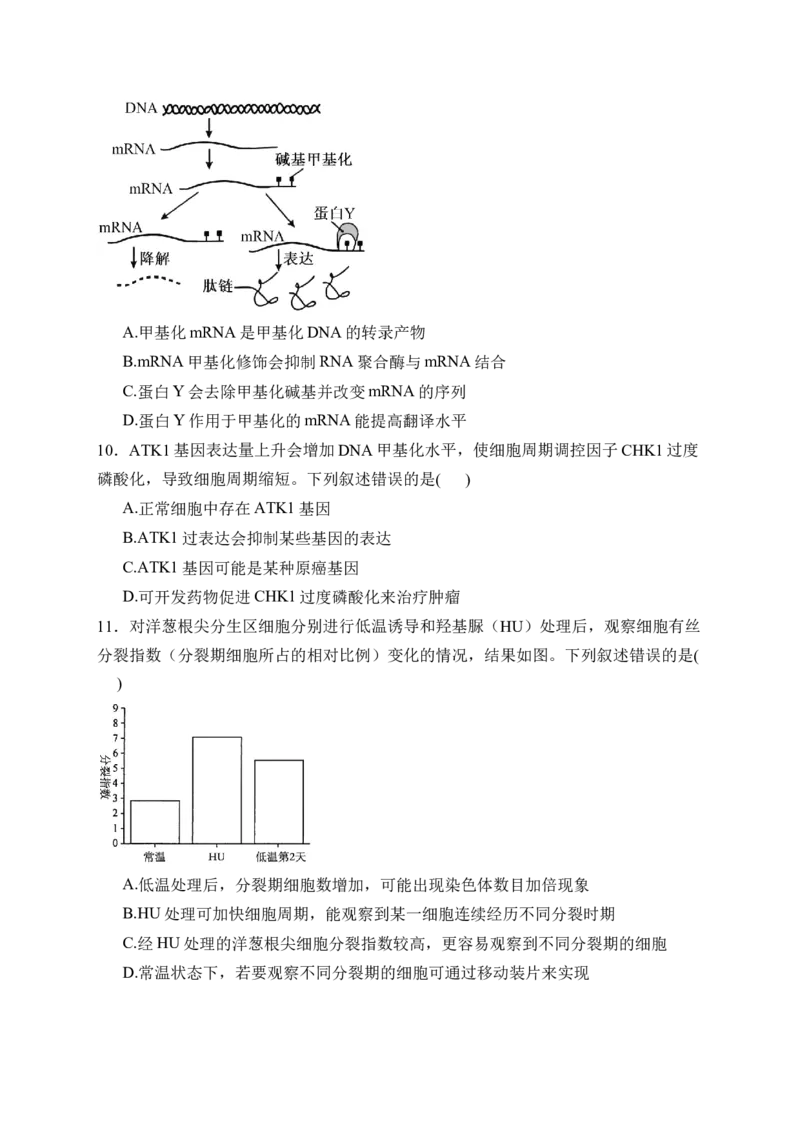 《内蒙古自治区巴彦淖尔市第一中学2025-2026学年高一下学期5月期中生物试卷（含解析）_2024-2027高一（7-7月题库）(1)_2026年06月高一试卷》第4页预览