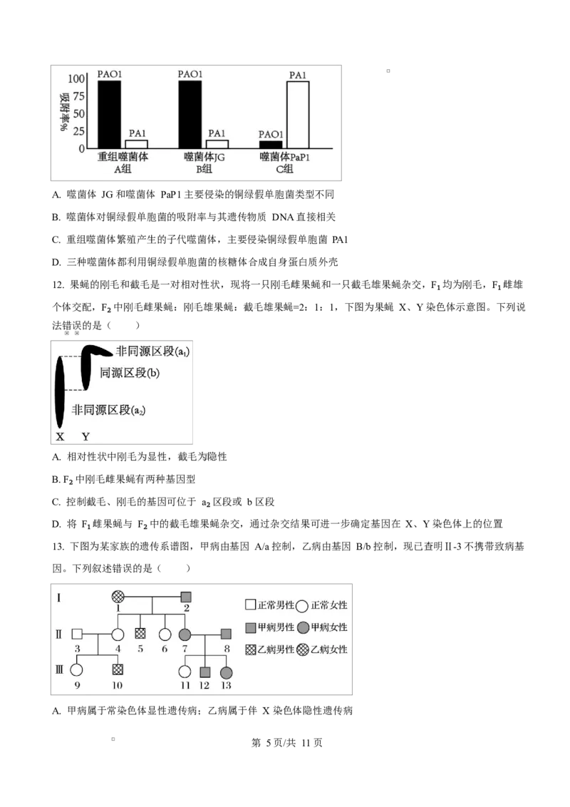 《四川广元市苍溪中学校2025-2026学年高一下学期5月期中生物试题Word版无答案_2024-2027高一（7-7月题库）(1)_2026年06月高一试卷_260610四川省苍溪中学2025-2026学年高一下学期5月期中考试》第5页预览