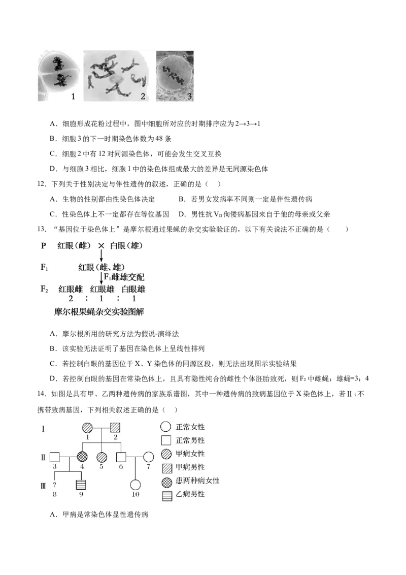 《山东省实验中学2025-2026学年高一下学期第一次阶段性学情检测试题生物Word版含答案_2024-2027高一（7-7月题库）(1)_2026年06月高一试卷》第4页预览