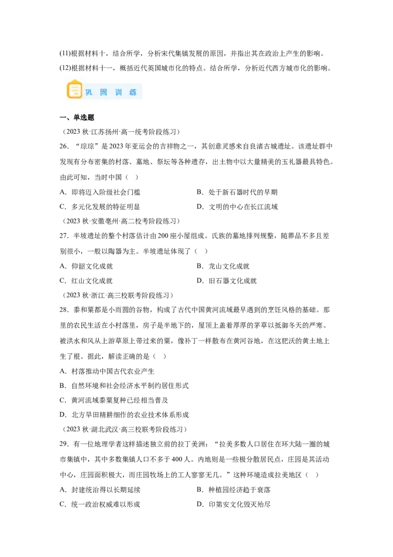 《10选必二第10课古代的村落、集镇和城市_新版高中_高中历史新版_高中历史选择性必修2（统编版）_学案专项-P118》第9页预览