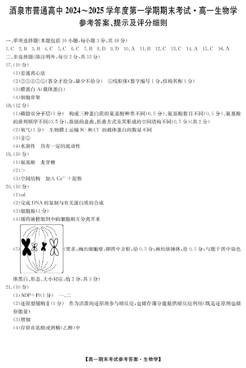 《sw125042A酒泉期末-生物da_2024-2027高一（7-7月题库）(1)_2025年02月试卷_0205甘肃省酒泉市2024-2025学年高一上学期1月期末考试》第1页预览