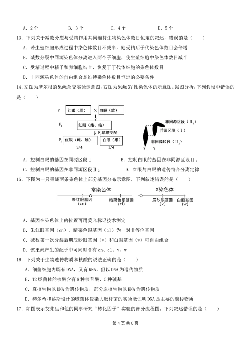 《2028届高一下学期期中生物试题_2024-2027高一（7-7月题库）(1)_2026年05月高一试卷_260511云南省玉溪第一中学2025-2026学年高一下学期期中考试（全）》第4页预览