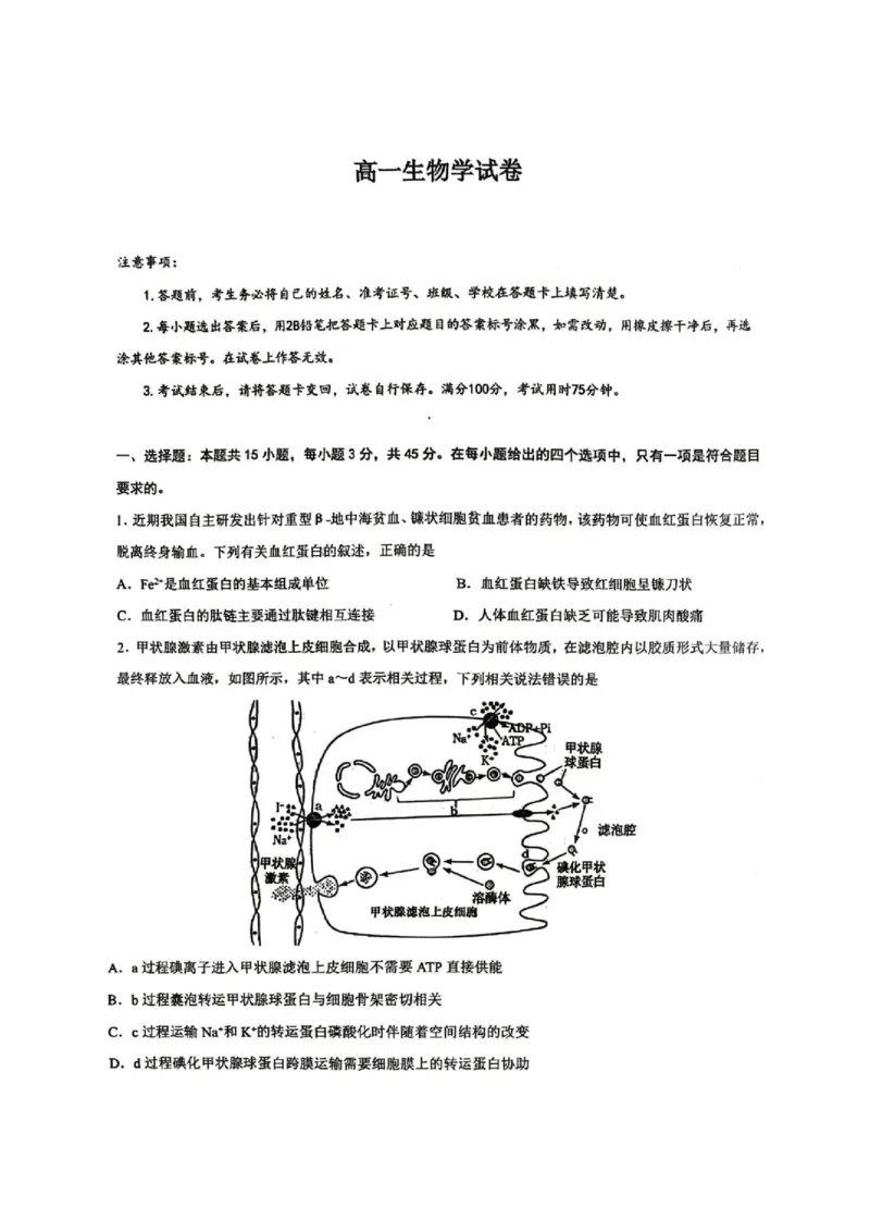 《2028届重庆市巴蜀中学高一下学期期中考试生物试卷及答案28届巴蜀中学高一下期中考试生物试卷_2024-2027高一（7-7月题库）(1)_2026年06月高一试卷》第1页预览