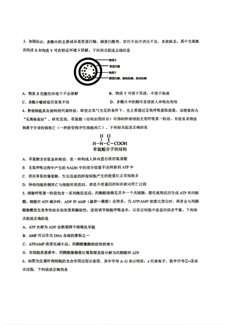 《2028届重庆市巴蜀中学高一下学期期中考试生物试卷及答案28届巴蜀中学高一下期中考试生物试卷_2024-2027高一（7-7月题库）(1)_2026年06月高一试卷》第2页预览