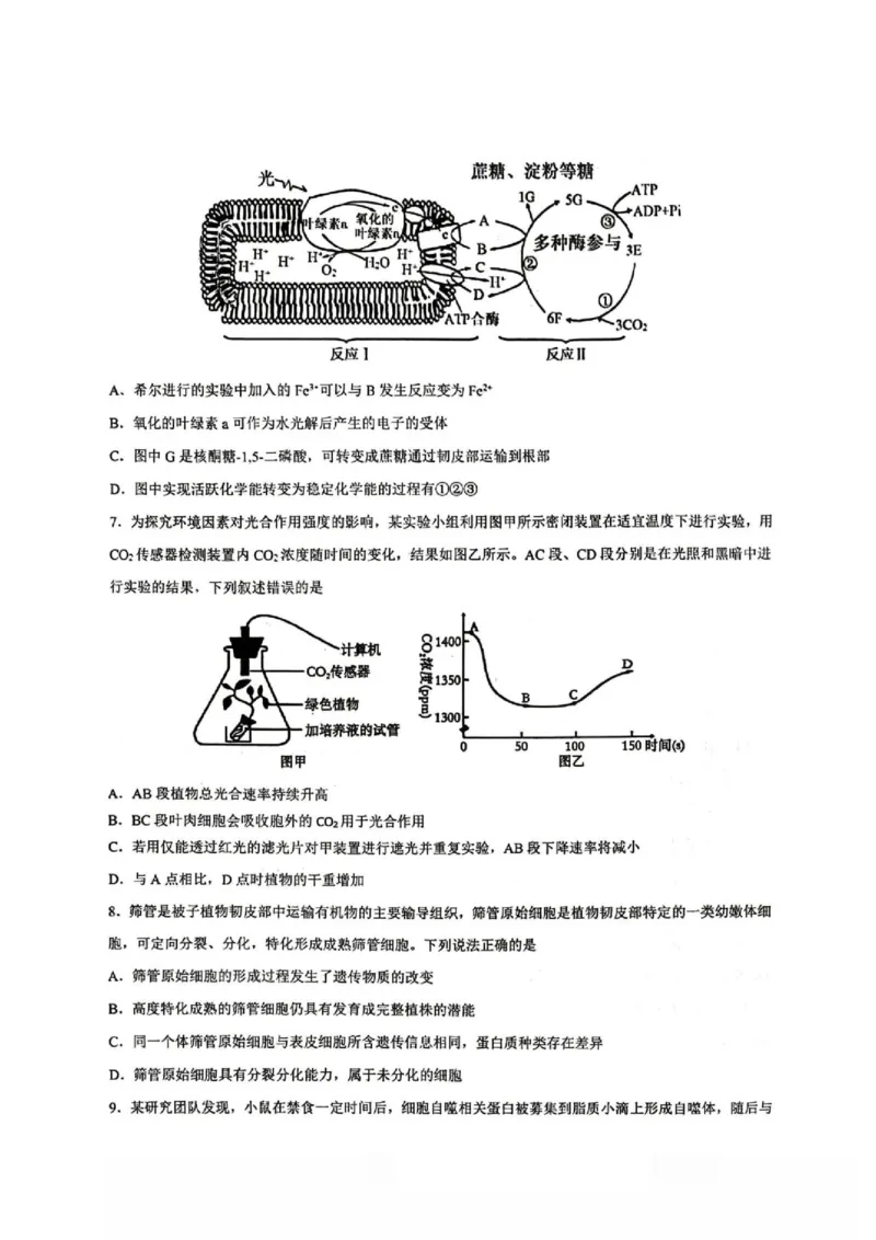 《2028届重庆市巴蜀中学高一下学期期中考试生物试卷及答案28届巴蜀中学高一下期中考试生物试卷_2024-2027高一（7-7月题库）(1)_2026年06月高一试卷》第3页预览