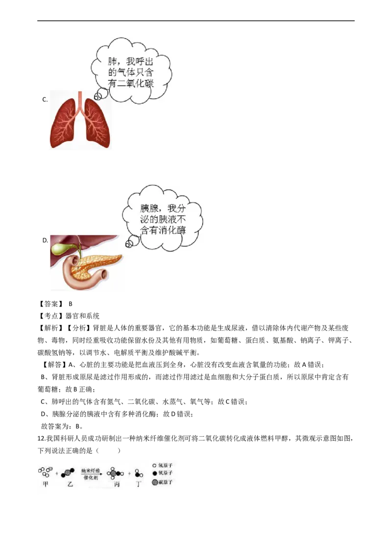 《2019浙江绍兴科学试卷+答案+解析(word整理版)_12.2026年4月全国各地高考模拟卷_2026版初中金考卷•45套中考试卷汇编系列合集_全国版中考真题(1)_各省市《历年中考真题》2013-2024(10)_浙江》第8页预览