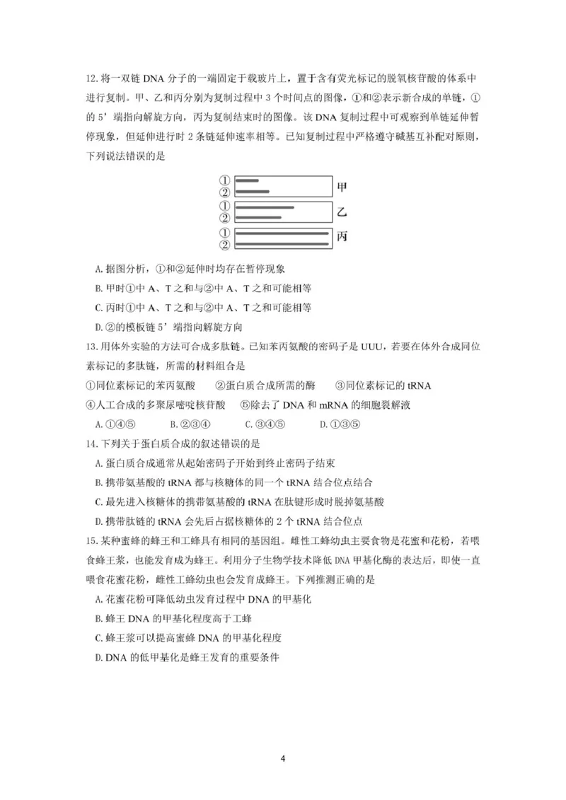 《山东师范大学附属中学2025-2026学年高一下学期5月期中检测生物试卷（图片版，含答案）_2024-2027高一（7-7月题库）(1)_2026年06月高一试卷》第4页预览