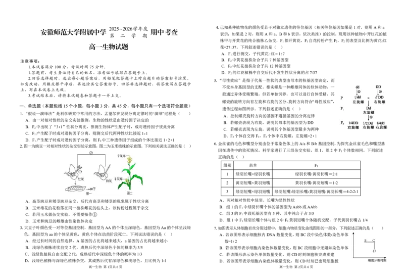 《安徽师范大学附属中学2025~2026学年高一下学期期中考试生物试题_2024-2027高一（7-7月题库）(1)_2026年05月高一试卷_260521安徽师范大学附属中学2025-2026学年高一下学期期中考试（全）》第1页预览