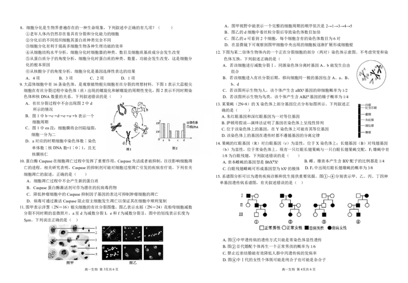 《安徽师范大学附属中学2025~2026学年高一下学期期中考试生物试题_2024-2027高一（7-7月题库）(1)_2026年05月高一试卷_260521安徽师范大学附属中学2025-2026学年高一下学期期中考试（全）》第2页预览