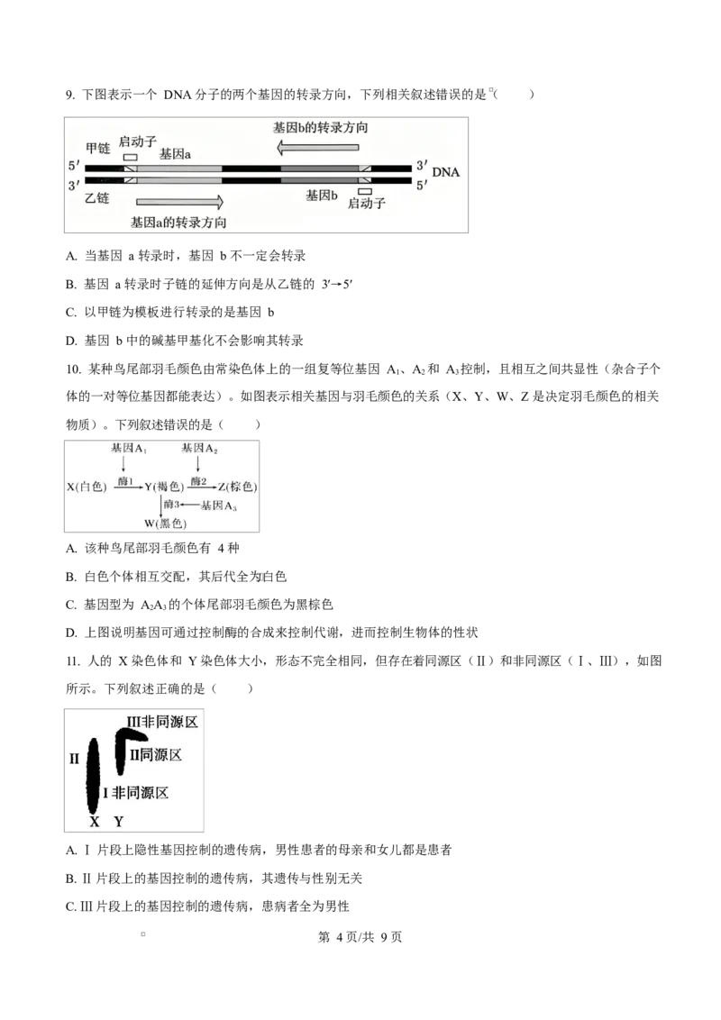 《四川省资阳市安岳中学2025-2026学年高一下学期期中考试生物试题Word版无答案_2024-2027高一（7-7月题库）(1)_2026年06月高一试卷》第4页预览