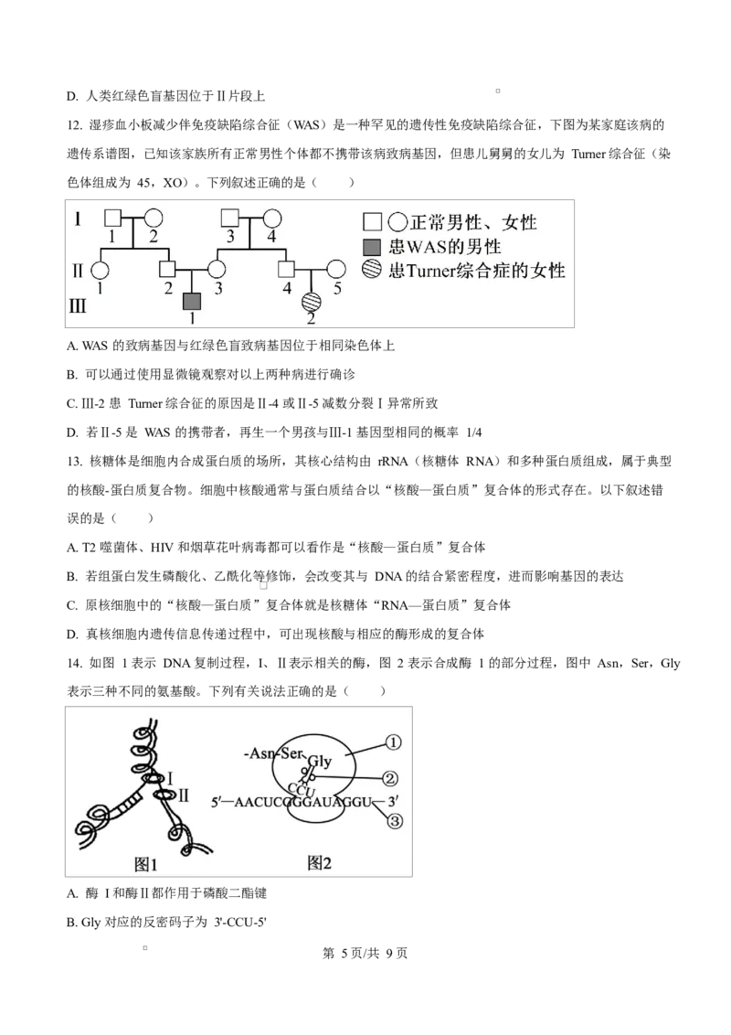 《四川省资阳市安岳中学2025-2026学年高一下学期期中考试生物试题Word版无答案_2024-2027高一（7-7月题库）(1)_2026年06月高一试卷》第5页预览