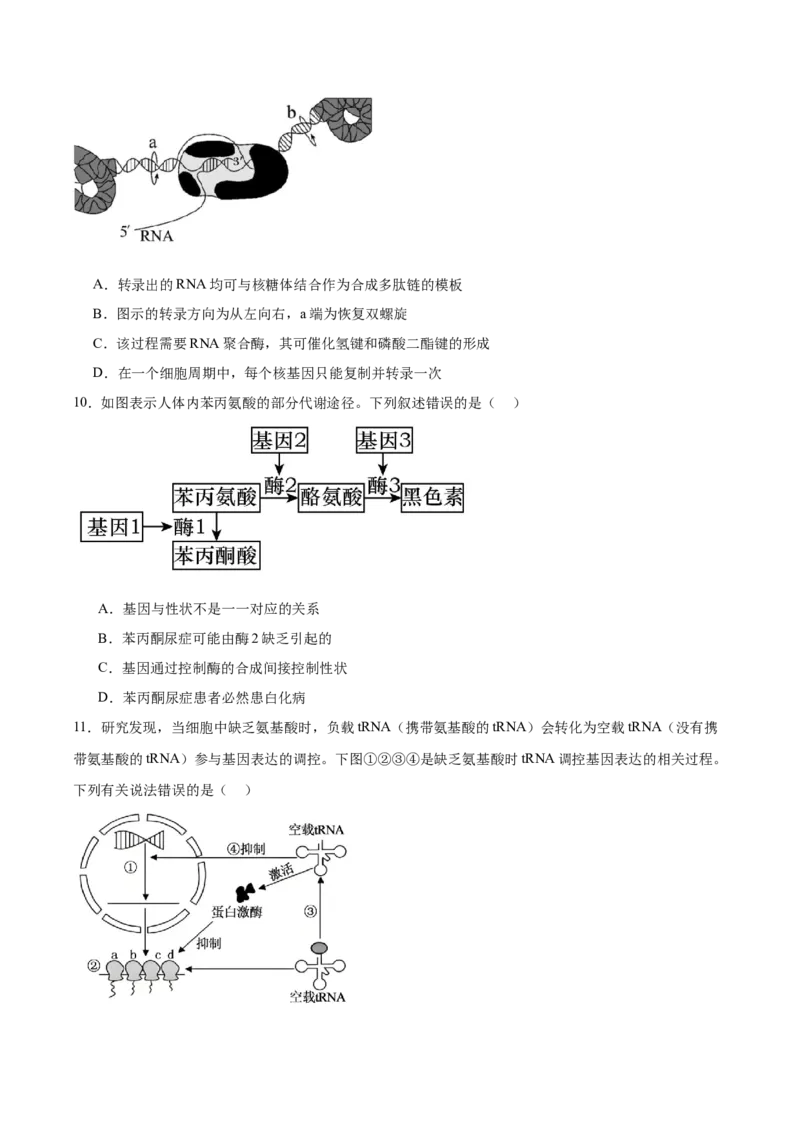《天津市静海区第一中学2025-2026学年高一下学期6月阶段检测试题生物Word版含答案_2024-2027高一（7-7月题库）(1)_2026年06月高一试卷》第3页预览