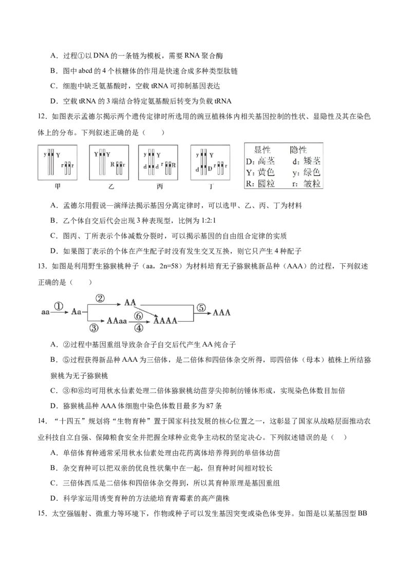 《天津市静海区第一中学2025-2026学年高一下学期6月阶段检测试题生物Word版含答案_2024-2027高一（7-7月题库）(1)_2026年06月高一试卷》第4页预览