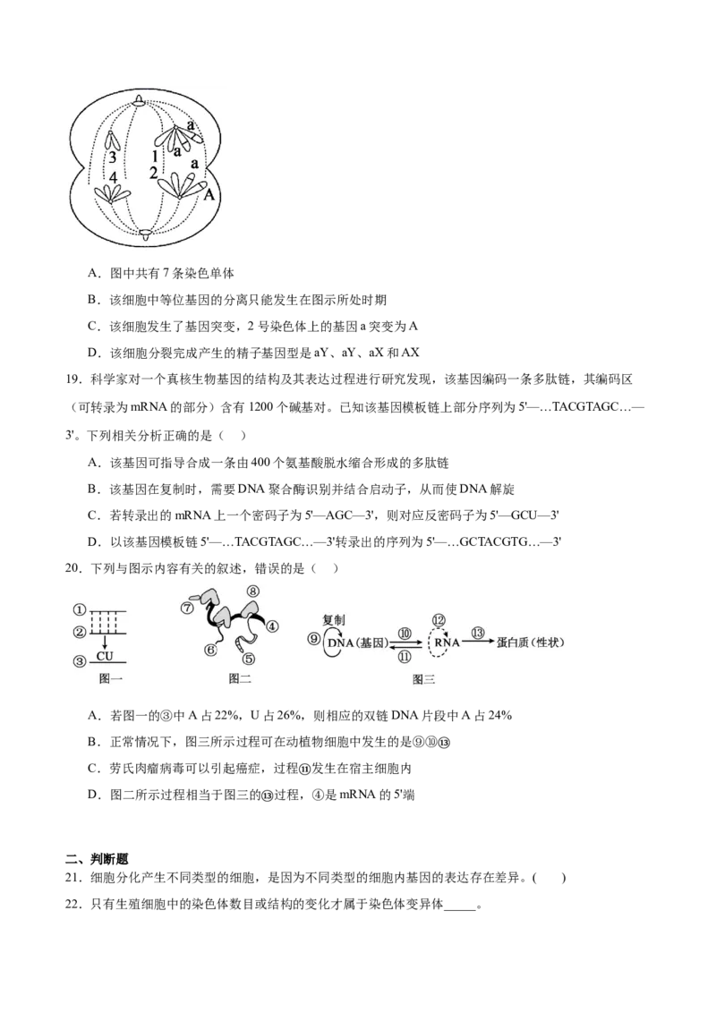 《天津市静海区第一中学2025-2026学年高一下学期6月阶段检测试题生物Word版含答案_2024-2027高一（7-7月题库）(1)_2026年06月高一试卷》第6页预览