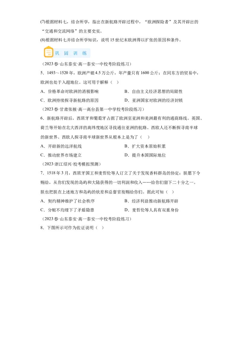 《07纲要下册第7课全球联系的初步建立与世界格局的演变_新版高中_高中历史新版_高中历史纲要下（统编版）_学案专项-P118》第6页预览