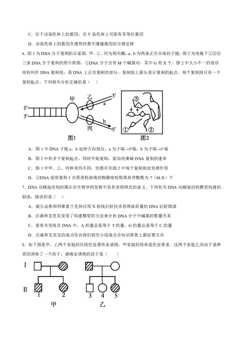 《四川省眉山市彭山区第一中学2025-2026学年高一下学期5月阶段检测生物试卷(扫描版含答案)_2024-2027高一（7-7月题库）(1)_2026年06月高一试卷》第3页预览